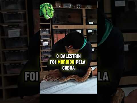 JULIÃO FOI MORDIDO PELA COBRA NO MEIO DO VÍDEO 😳👆 #juliobalestrin #renatocariani #richardrasmussem