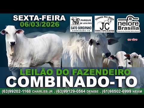 Leilão do Fazendeiro, Combinado-TO, Sexta-Feira, 06/03, (63)99202-1168 (63)99129-0564 (61)98502-6999