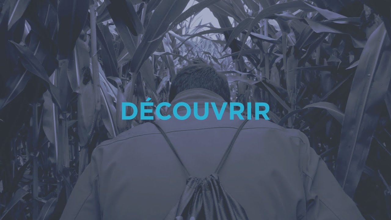 Découvrir