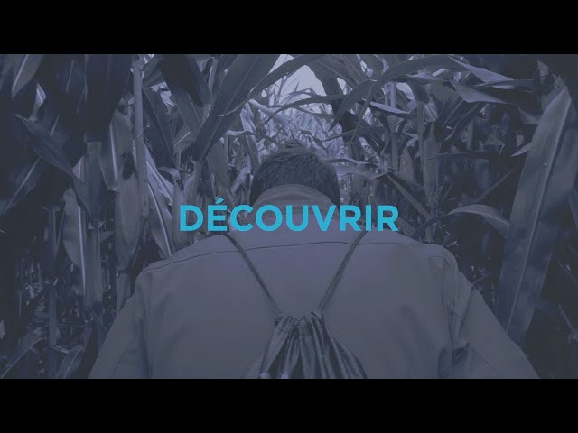Découvrir