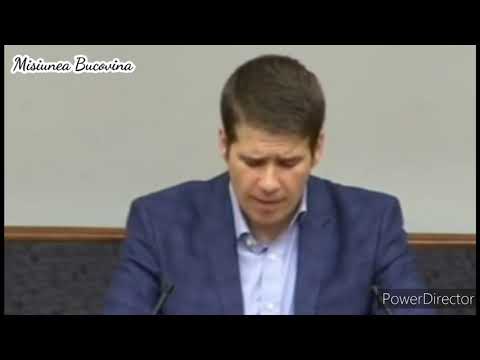 Hay, reeds or expensive stones? - Cristi Boariu