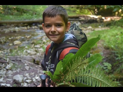 Bihar Hegység - a Szegyesd völgye ( Valea Sighiştel )