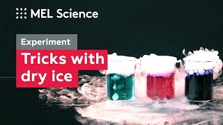 What happens if you put solid carbon dioxide in water? ("Dry ice" experiment)