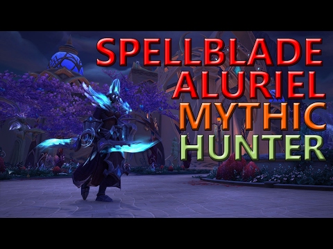Spellblade Aluriel  - Hunter MM PoV | Guild The Amazing Zoo - EU-La Croisade Ecarlate