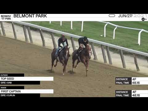 Preview of the Grade II John A  Nerud Stakes at Belmont Park on July 4th, 2021.