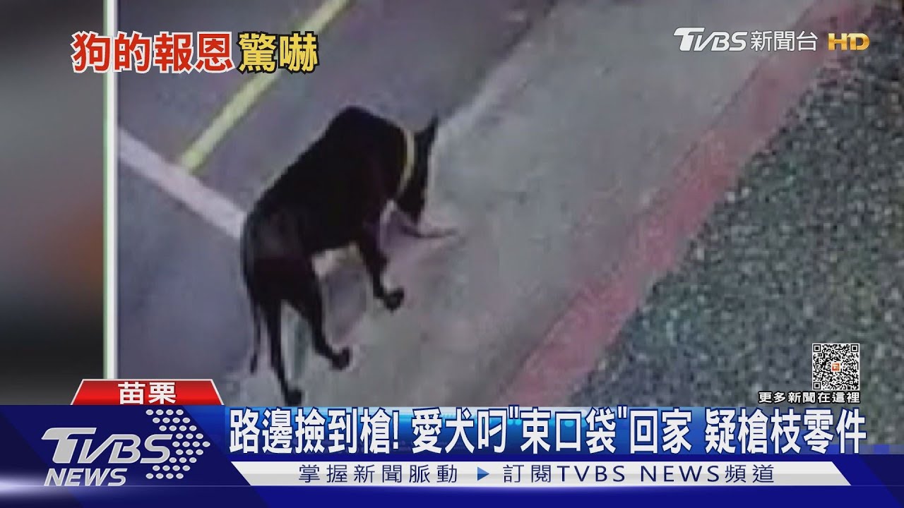 路邊撿到槍!愛犬叼「束口袋」回家 疑槍枝零件