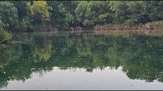 Quick Bass Fishing Session
