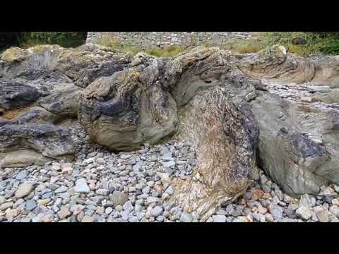 Penrhos Coastal Park - ANGLESEY
