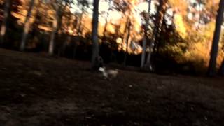 Capital Cities - Chasing You