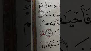 @user- nv3rf5gf5d دينى خلق آدم القسم الاول سورة البقرة الآية ٣٤/٣٥