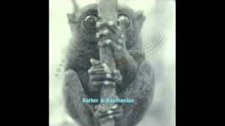 Barker & Baumecker - The Hole