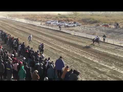 PADRINO  "Club Hipico Añelo" - Añelo - 21-05-2023