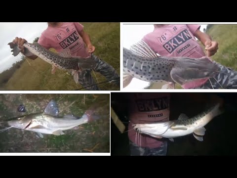 "INCREÍBLE PESCA" 🔥  EN EL DESCANSO, ALEJANDRA  SANTA FE.