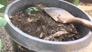 How I Revitalize My Container Soil