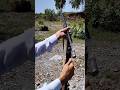 single barrel shotgun#pistol #beretta #firearms #shotguns #guns