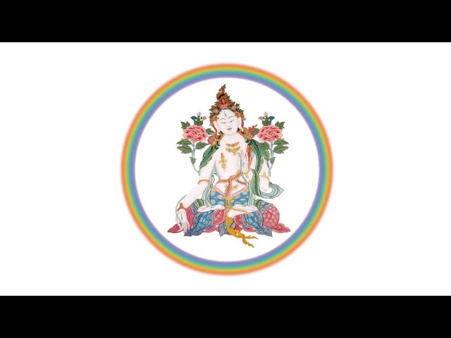 Vídeo relacionado con Artery8 Frog Meditation Yogi Yoga Mindfulness Relax for Him or Her Man Woman Birthday Thank You Congratulations Blank Art Greeting Card