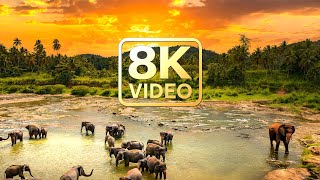 Places To Visit In The Planet Earth 8K VIDEO ULTRA HD - 4K TV