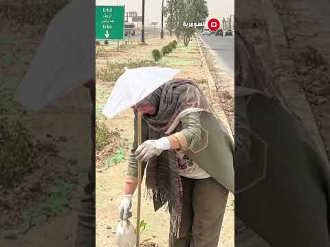 شاهد بالفيديو.. سيدة تطلق اول حملة تشجير! #shorts