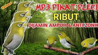 Download lagu SUARA PIKAT PLECI RIBUT PALING AMPUH... mp3