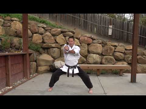 Naihanchi Shodan: Full kata with detail