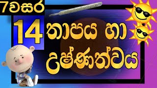 Grade 7 Science Lessons Sinhala Medium Lesson 14 Heat | Temperature