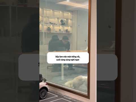 Lắp cho phòng sếp Hổ con gương 1 chiều !!