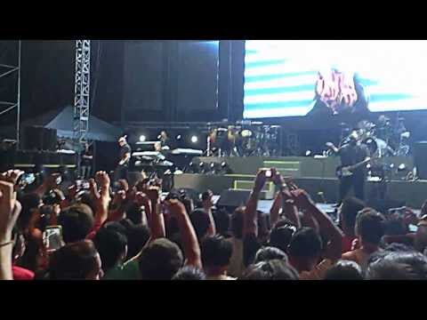 Pitbull We Love Asia 2.0 Opening