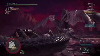 ミラボレアス練習