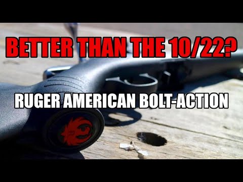 Better than the 10/22? - Ruger American Rimfire 22lr