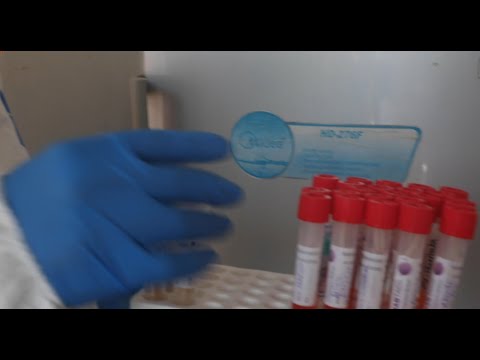 Shocking havoc caused by covid revealed... A case study of how OndoState Curtailed the virus.