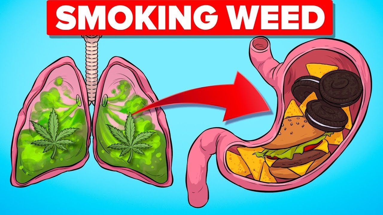 What Happens To Your Body When Smoking Weed And Other Crazy Heath Stories (Compilation)