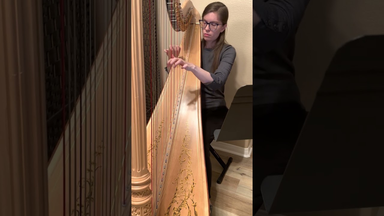Promotional video thumbnail 4 for Stephanie - Harpist
