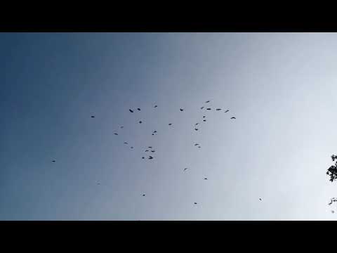 The beauty of Nature 🥰