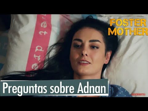 Preguntas sobre Adnan - Foster Mother Las Escenas