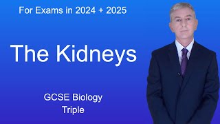 GCSE Biology Revision "The Kidneys" (Triple)