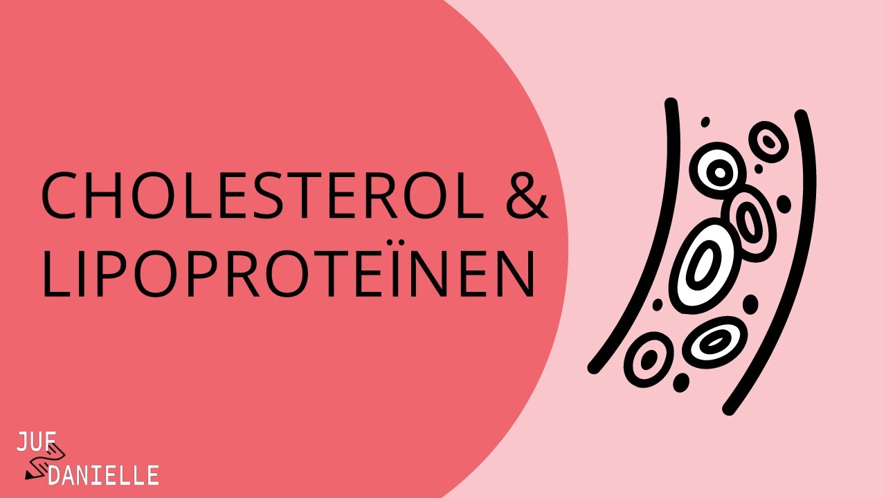Cholesterol & Lipoproteïnen uitgelegd: VLDL, LDL & HDL