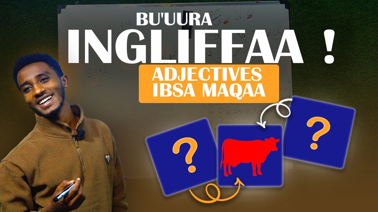 Mastering Adjectives + Parts of Speech Overview | English Grammar