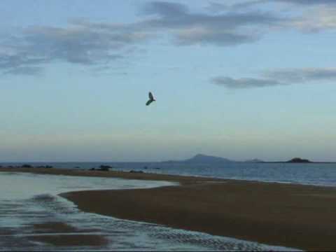 RC EPP Flying wing with electric Pod