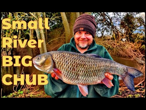AMAZING Winter River Fishing! Finding BIG CHUB FISHING Small Rivers (Video 279)