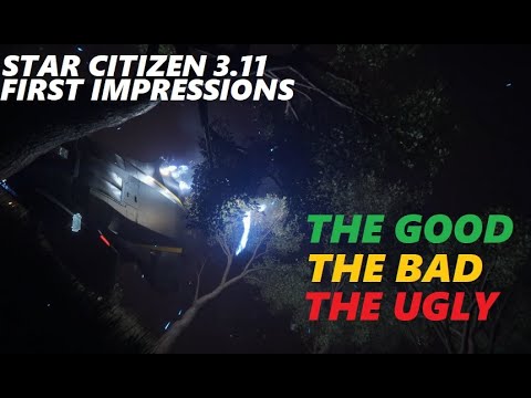 STAR CITIZEN 3.11 - First Impressions :The Good, The Bad and the Ugly