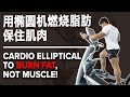 用椭圆机燃烧脂肪保住肌肉 (Eng Sub) Cardio Elliptical to Burn Fat, Not Muscles! | Terrence Teo