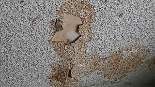 How to patch a popcorn ceiling and get rid of water stain