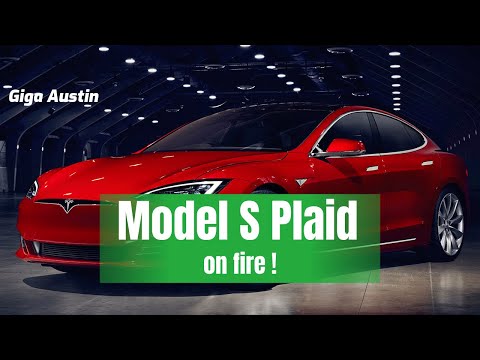 Model S Plaid on fire!