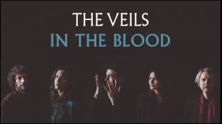 The Veils - In The Blood (Audio)