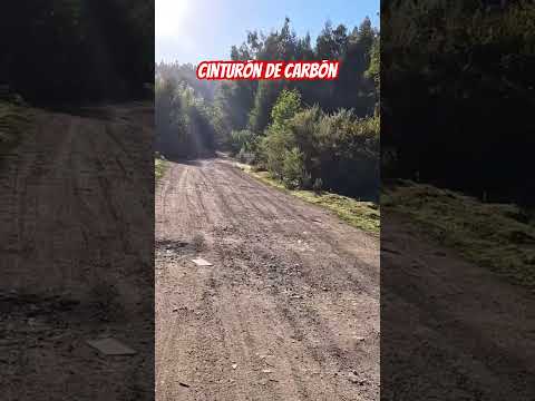 Disciplina en la mirada #lota #pesca #colcura #rio #aventura #todos #chile #biobio