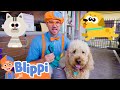 Blippi Cares For Pets At The Animal Shelter Fun And Educational Videos For Kids