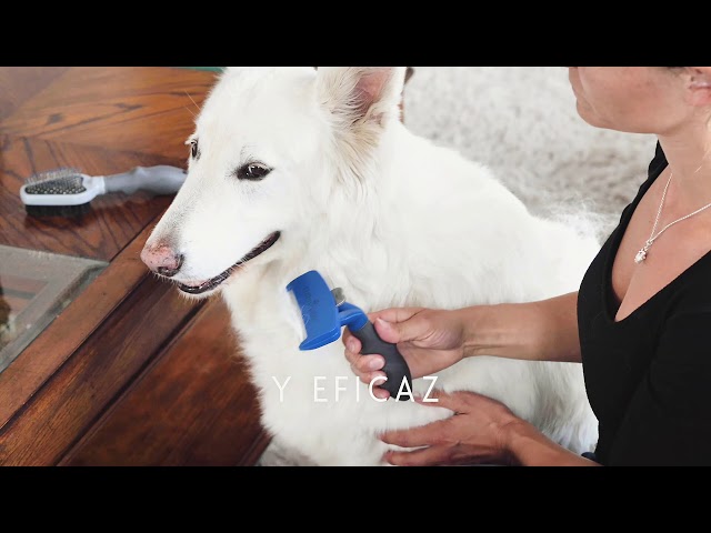 Vídeo relacionado con Accesorio de cuidado de desprendimiento para perros, herramienta anti-tachout | Dulce depiladora flotante, eliminación efectiva de esporas viejas con la máxima comodidad durante el cuidado diario de