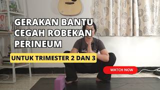 Download lagu PREGNANCY EXERCISES/PREGNANCY YOGA PREVENTS PERINEUM TEARS mp3 Download lagu PREGNANCY EXERCISES/PREGNANCY YOGA PREVENTS PERINEUM TEARS mp3