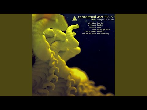 Fara Nume (Rebreanu Remix)