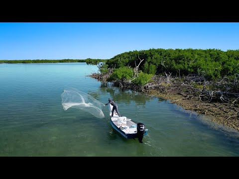 No Agenda | Exploring New Areas | Live Bait - Light Tackle
